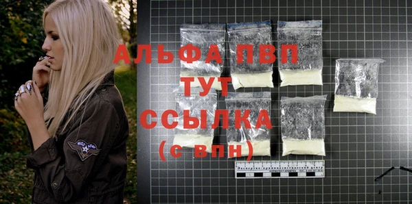 тгк Касимов