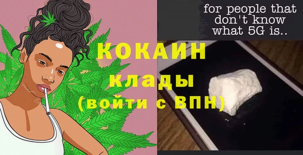 тгк Касимов