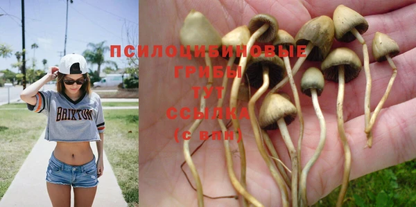 тгк Касимов