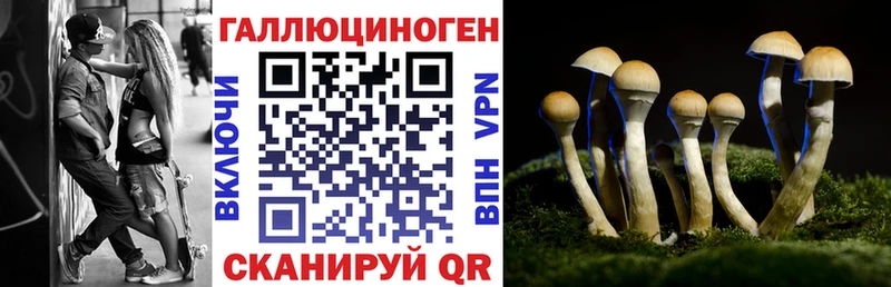 Псилоцибиновые грибы мухоморы  Купить закладки  Опочка 